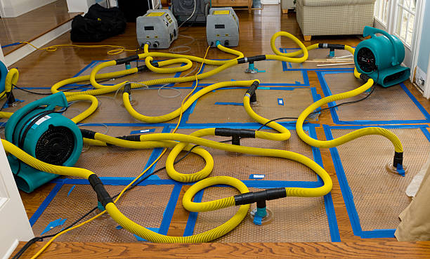 Professional Emergency Water Removal technician working in Wellington, MO
